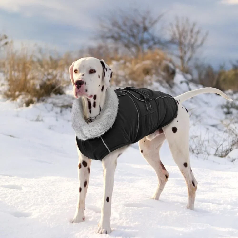 Lelepet Warm Dog Coat Reflective Dog Fleece Vest Waterproof Jacket